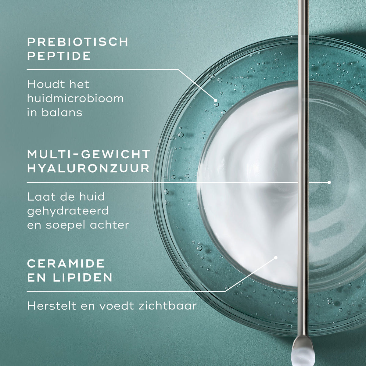 Total Moisture Daily Facial Cream™ Refill